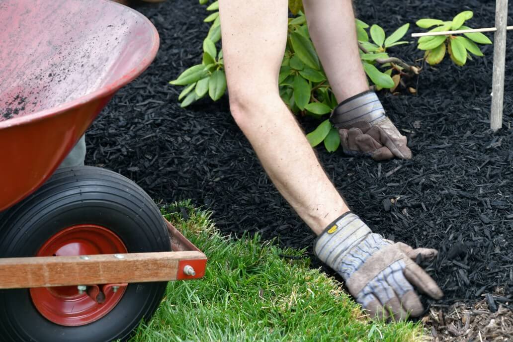 Side Yard Landscaping Ideas